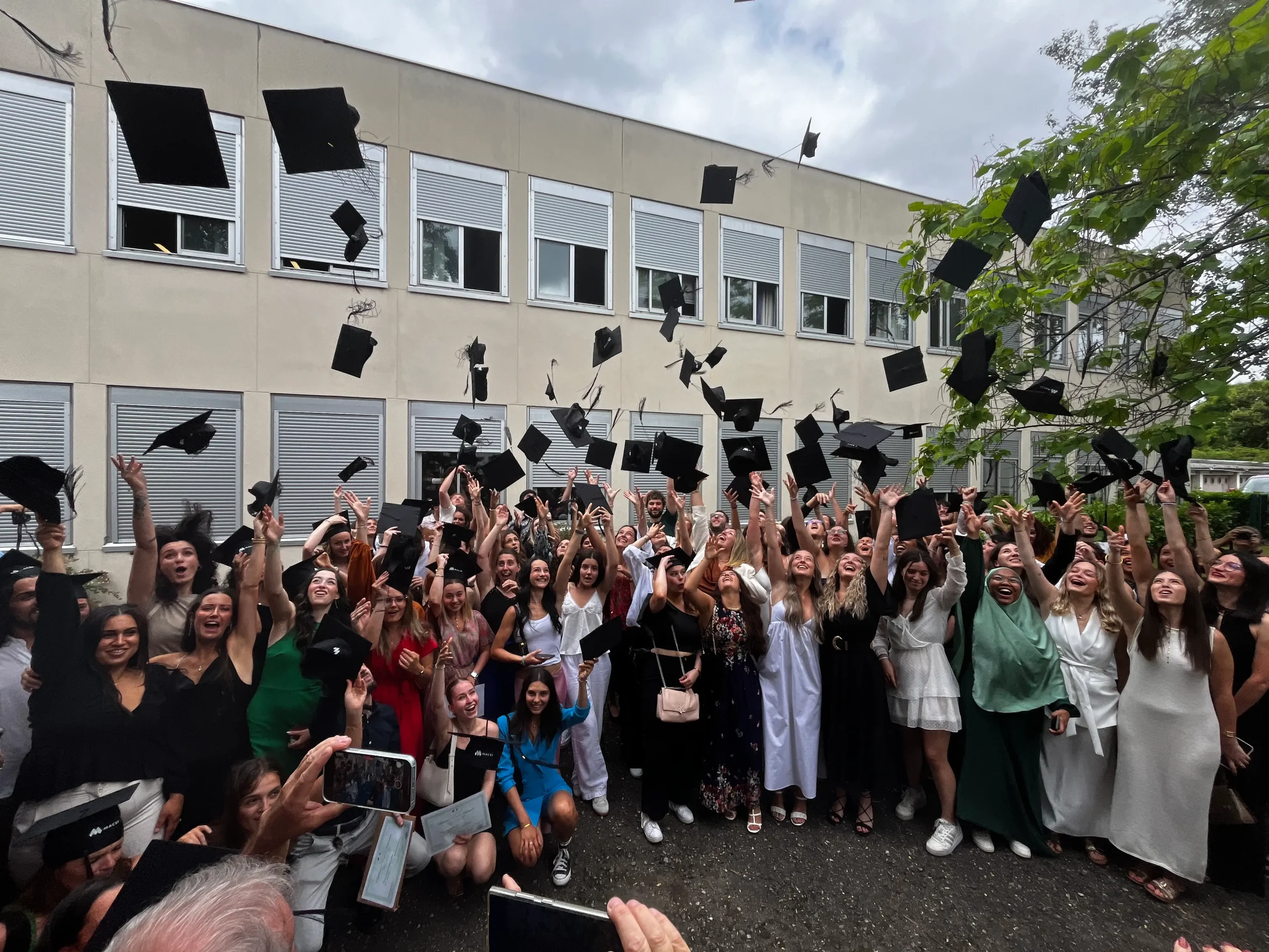 Enseignement